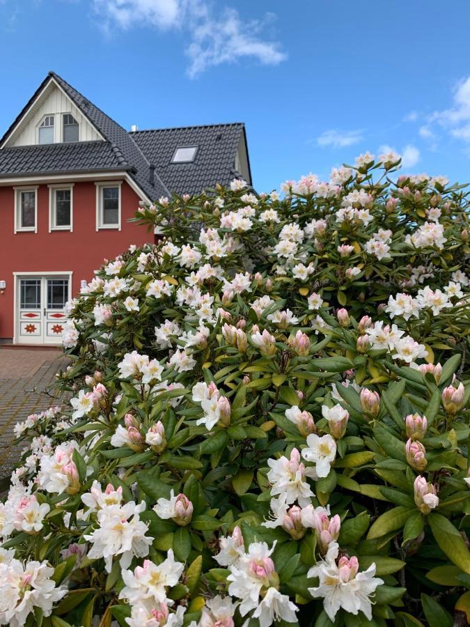 Ferienwohnung Strandgut - Kavelweg 9 - Zingst Exteriér fotografie